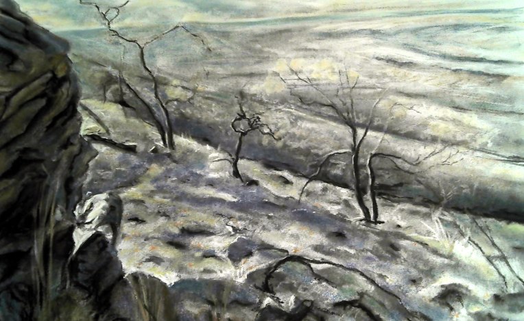 Outback Landscape Fowlers Gap
